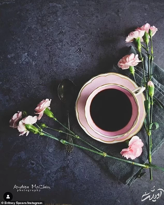 بریتنی اسپیرز و سام اصغری